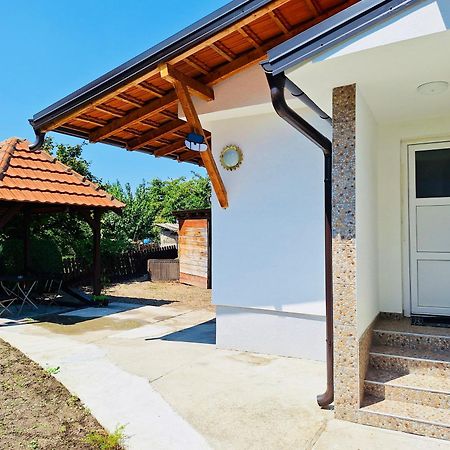 Apartman Radulovic Villa Negotin Kültér fotó